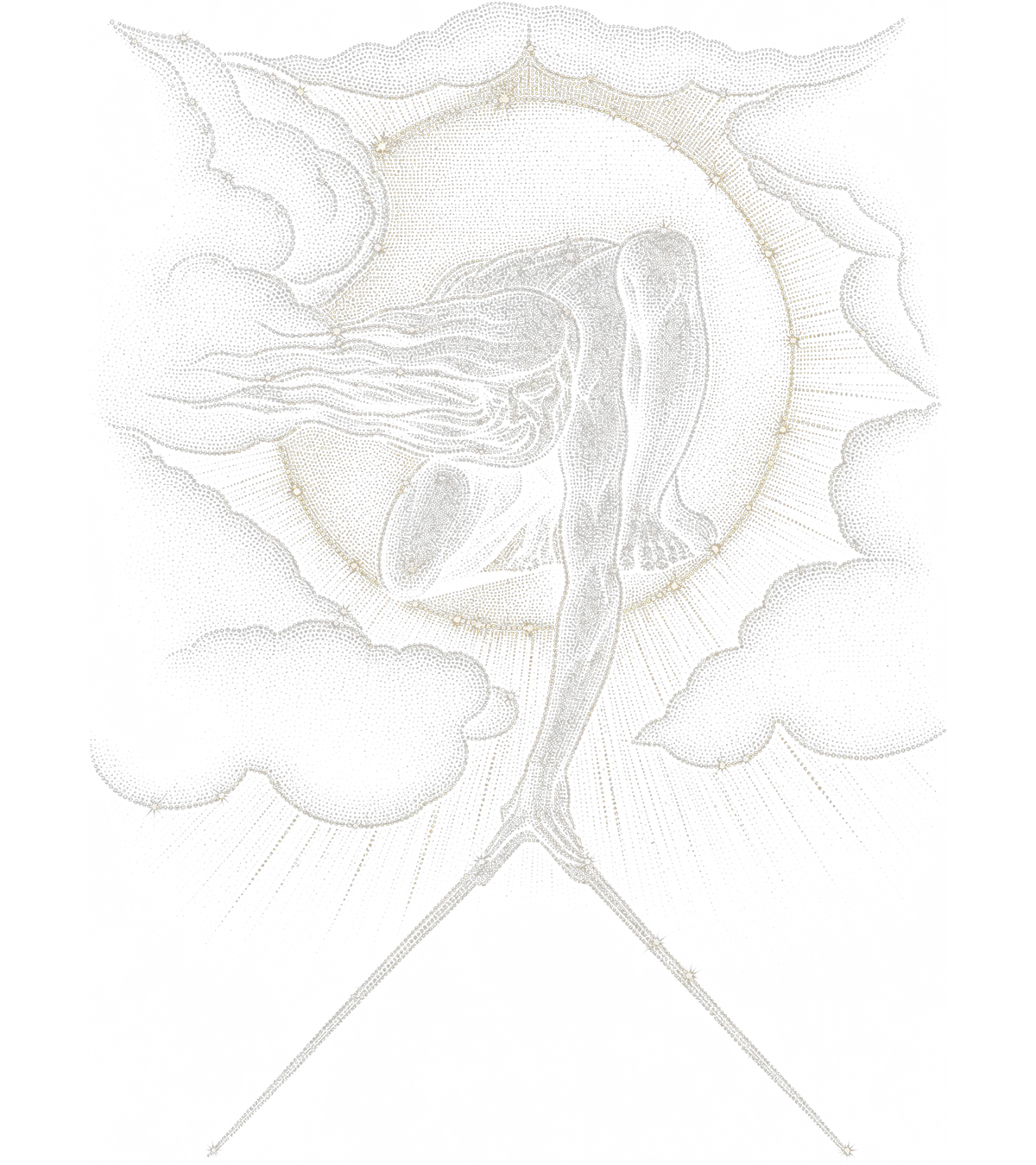 Plush Vengeance premium streetwear